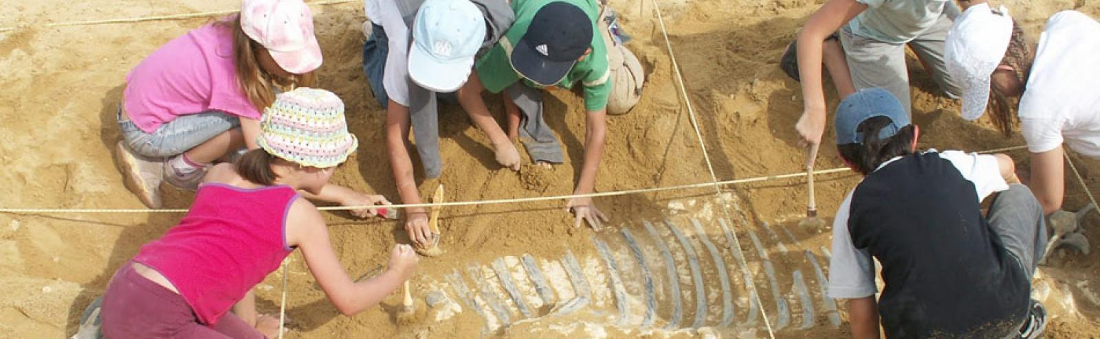 Paléopolis et ses ateliers pour enfants : exemple de fouilles.